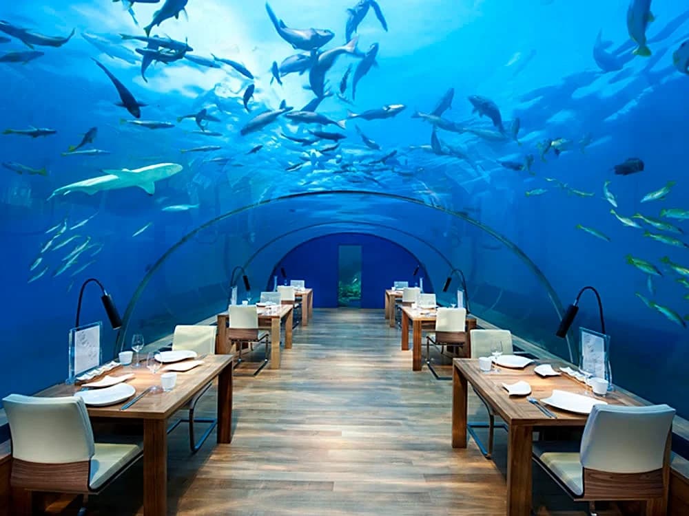 Ithaa Undersea Restaurant: cenar bajo el océano Índico